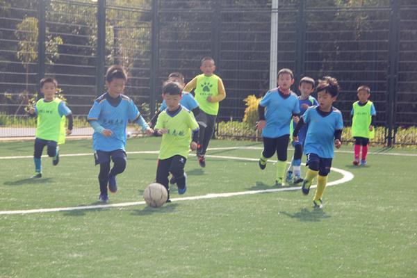  赛前训练开放日，球迷零距离接触球星